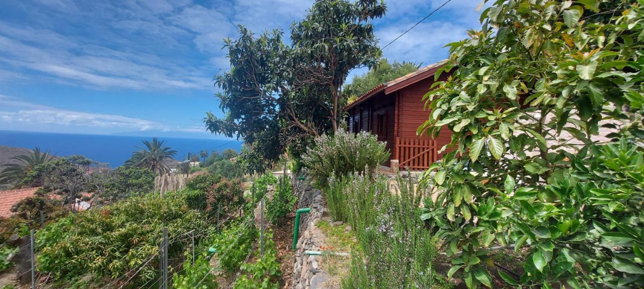 Cabana Los Palmeros, Vista Al Mar Y La Montana Alojera Екстериор снимка