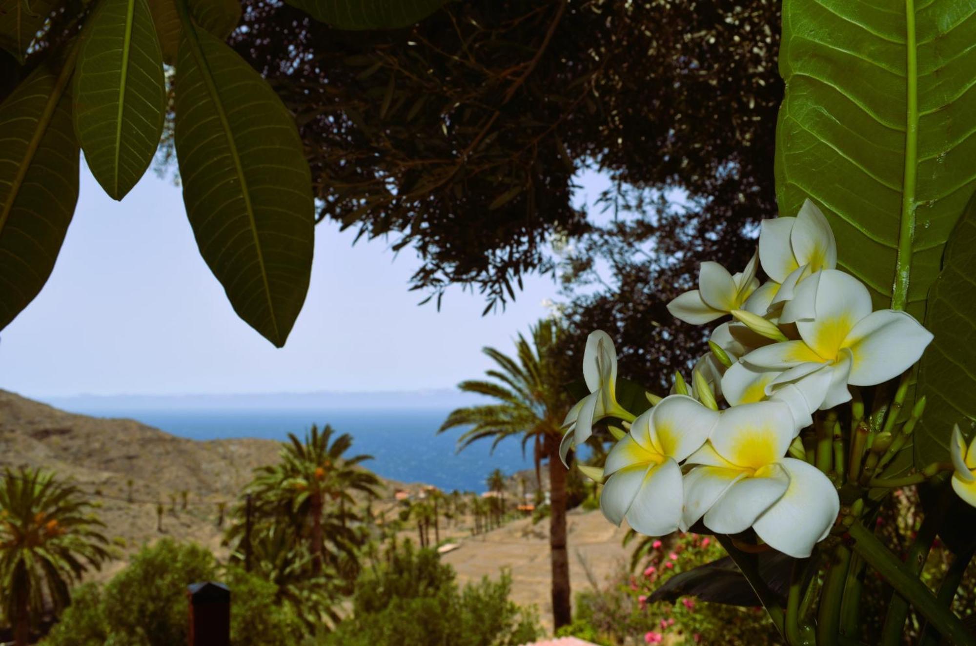 Cabana Los Palmeros, Vista Al Mar Y La Montana Alojera Екстериор снимка